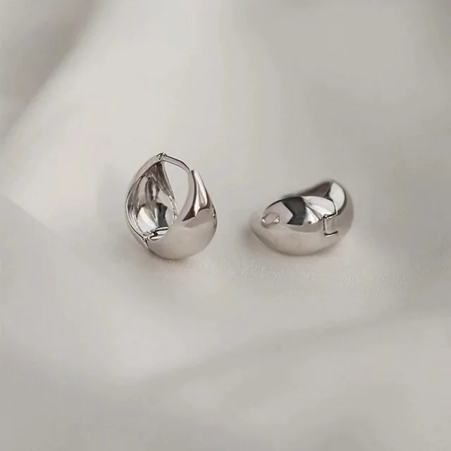 Hoop Earrings 