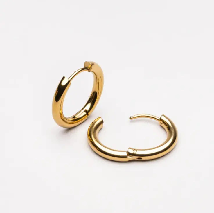 Lucia earrings 