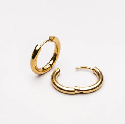 Lucia earrings 