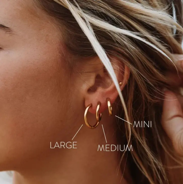 Lucia earrings 