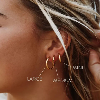 Lucia earrings 
