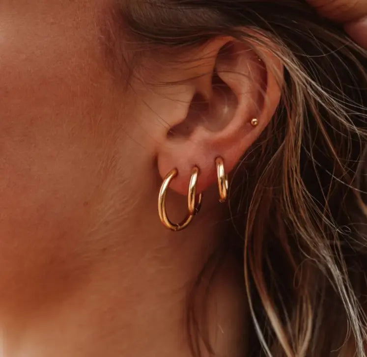 Lucia earrings 