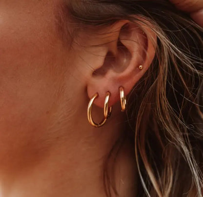 Lucia earrings 